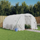 Serre Vidaxxl avec structure en acier blanc 12 m² 4x3x2 m