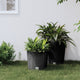 Vidaxl planteur amovible bak rattan look 15 15,3 l pp anthracite