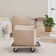 Vidaxl meubles chiens 2 st rectangular 250 kg 50x35x11,5 cm