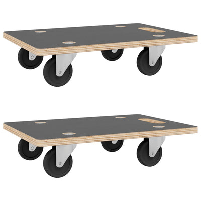 Vidaxl meubles chiens 2 st rectangular 250 kg 60x40x11,5 cm
