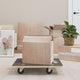 Vidaxl meubles chiens 2 st rectangular 250 kg 60x40x11,5 cm