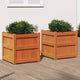 Jardinières vidaxl 2 pc cm en pin massif lavage brun
