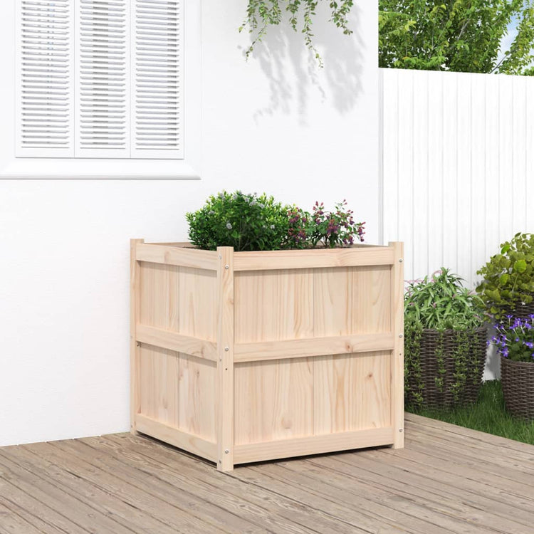 Boîte de planification Vidaxl 70x70x70 cm Pine solide
