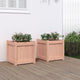 Vidaxl Planters 2 PCS Solide Douglashout