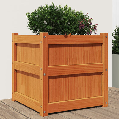 Vidaxl jardinière 50x50x50 cm pine solide lavage brun