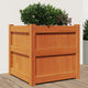 Vidaxl jardinière 50x50x50 cm pine solide lavage brun