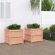 Vidaxl Planters 2 PCS Solide Douglashout