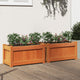 Jardinières vidaxl 2 pc cm en pin massif lavage brun