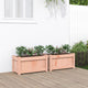 Vidaxl Planters 2 PCS Solide Douglashout