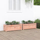 Vidaxl Planters 2 PCS Solide Douglashout