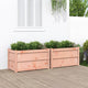 Vidaxl Planters 2 PCS Solide Douglashout