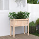 Planteur vidaxl avec des jambes 70x31x70 cm