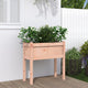 Boîte de planification Vidaxl avec des jambes 70x31x70 cm solide Douglashout