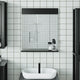 Vidaxx miroir de salle de bain avec étagère montagne 60x12x70 cm bois massif noir