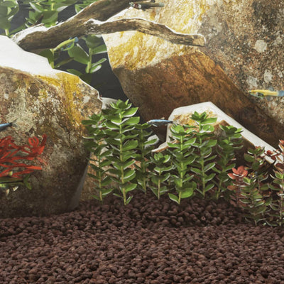 Vidaxl Lava Stones 25 kg 5-8 mm de rouge