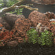 Vidaxl Lava Stones 25 kg 10-30 cm rouge