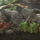 Vidaxl Lava Stones 25 kg 10-30 cm noir
