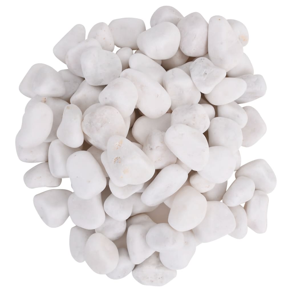 Vidaxl galets polis 2-5 cm 10 kg blanc