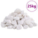 Vidaxl galets polis 2-5 cm 25 kg blanc