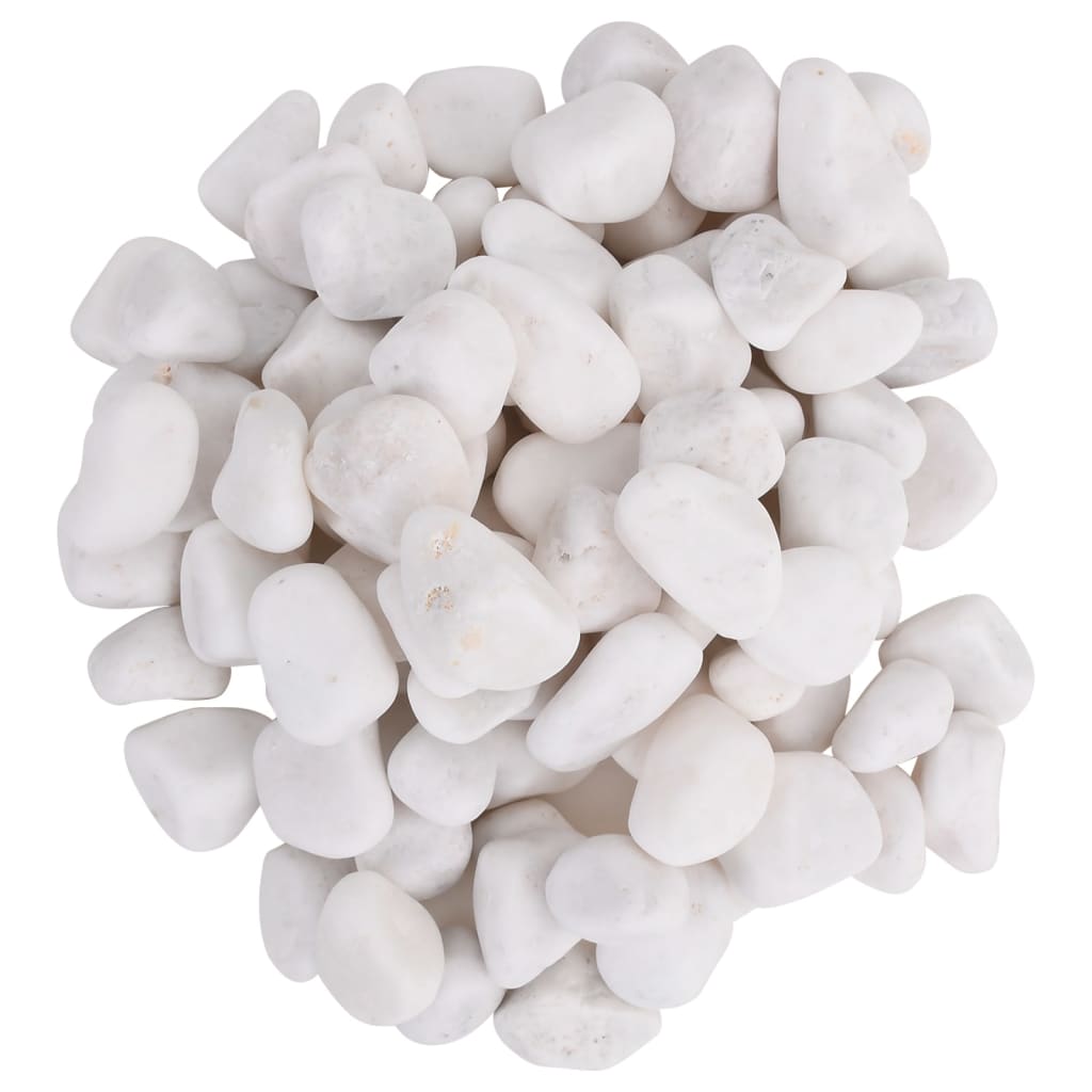 Vidaxl galets polis 2-5 cm 25 kg blanc
