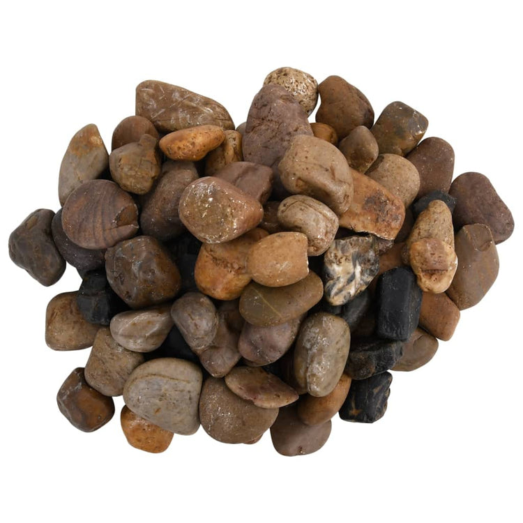 Vidaxl galets polis 2-5 cm 25 kg multicolores