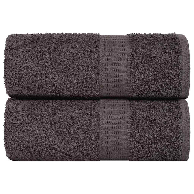 Vidaxl Guest Wipes 2 PCS 30x50cm 360g m² 100% coton Colore