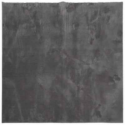 Tapis vidaxl Huarte Low -pole Soft Soft Lavable 240x240 cm anthracite