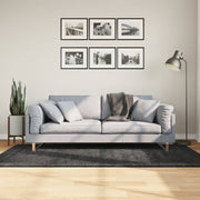 Vidaxl tapis Pampelune Shaggy hautement poteau 100x200 cm anthracite - afbeelding 1