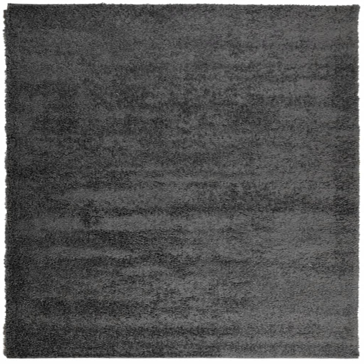 Vidaxl tapis Pampelune Shaggy hautement Pole 200x200 cm anthracite