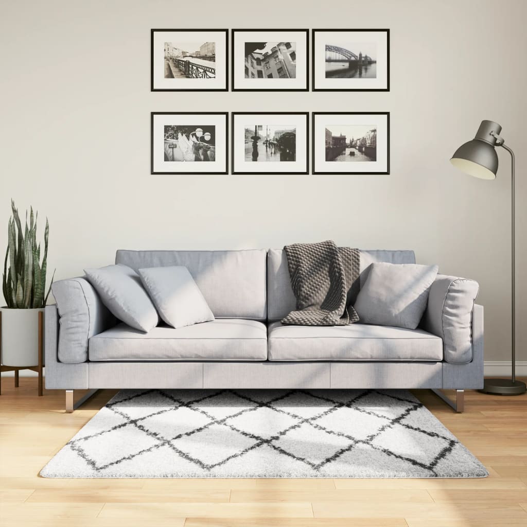 Tapis vidaxl SHAGGY HIGH PIE MODERNE 120X120 CM CRAME ET NOIR