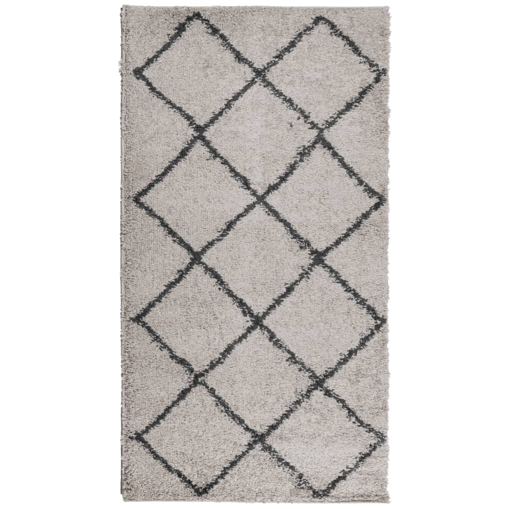 Tapis vidaxl Shaggy High -Pile moderne 60x110 cm beige et anthracite