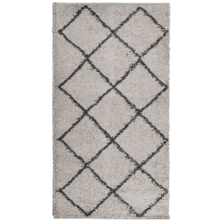 Tapis vidaxl Shaggy High -Pile moderne 60x110 cm beige et anthracite
