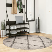 Vidaxl tapis Pampelune Shaggy hautement pile Ø 160 cm anthracite beige - afbeelding 1