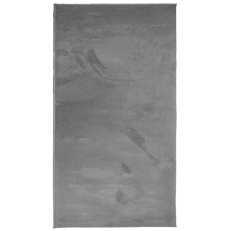 Tapis Vidaxl Oviedo Low -Pile 80x150 cm anthracite -colored