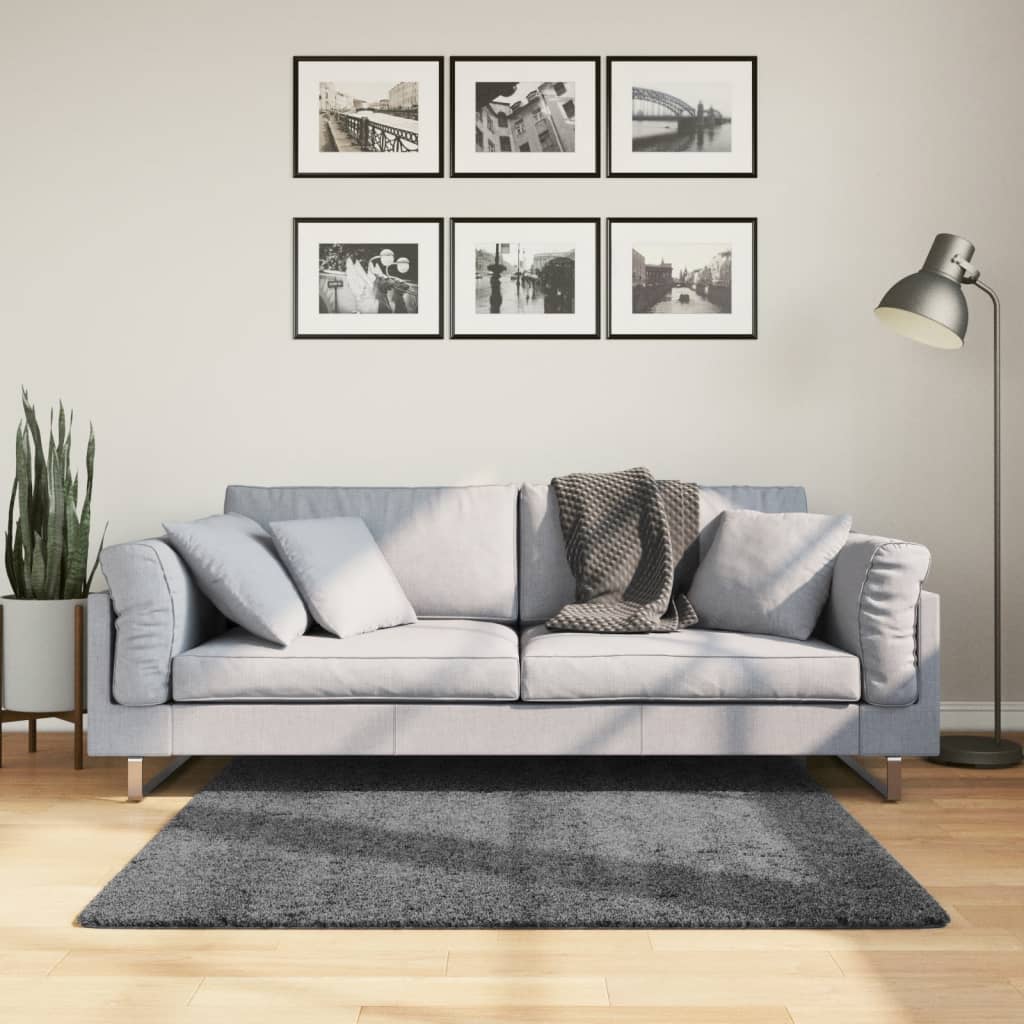VidaXL tapis oviedo poils ras 120x120 cm anthracite