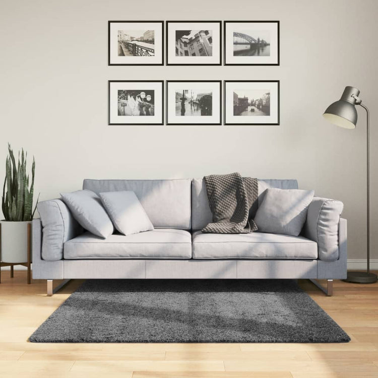 VidaXL tapis oviedo poils ras 120x120 cm anthracite