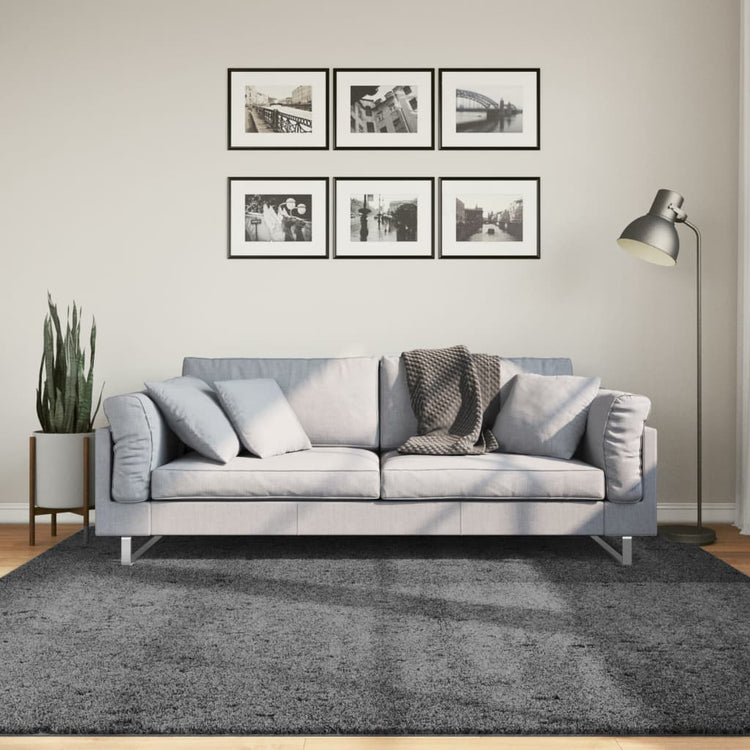 Vidaxx tapis oviedo poils ras 200x200 cm anthracite