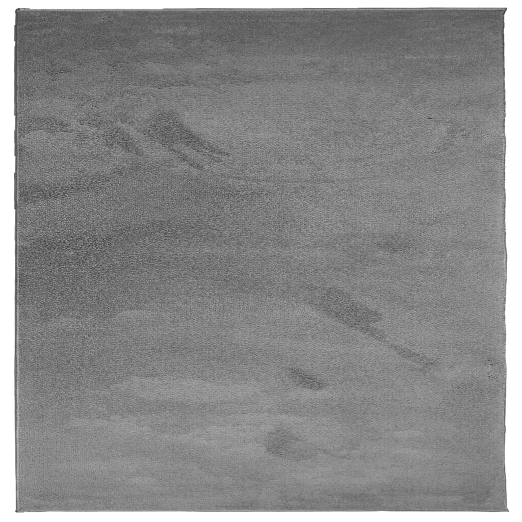 VidaXL tapis oviedo poils ras 240x240 cm anthracite