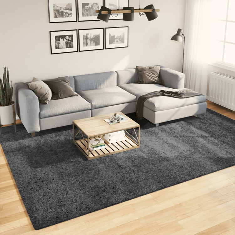 Vidaxx tapis oviedo poils ras 240x340 cm anthracite