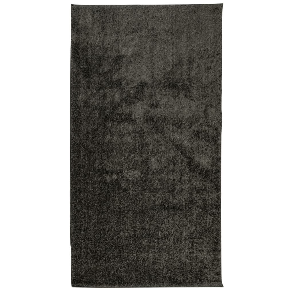 Vidaxl tapis Istan pour un tas haut tas brillant 80x150 cm anthracite -colored