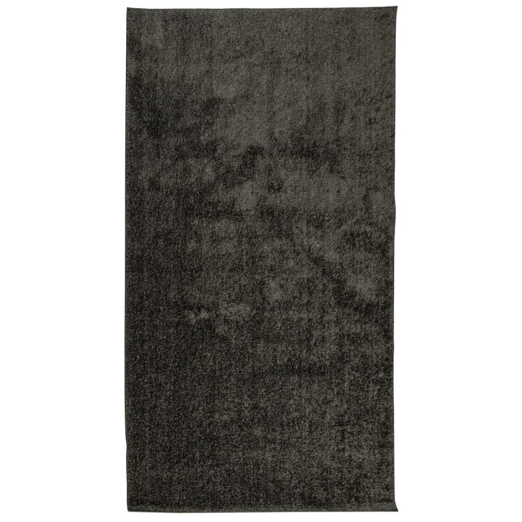 Vidaxl tapis Istan pour un tas haut tas brillant 80x150 cm anthracite -colored