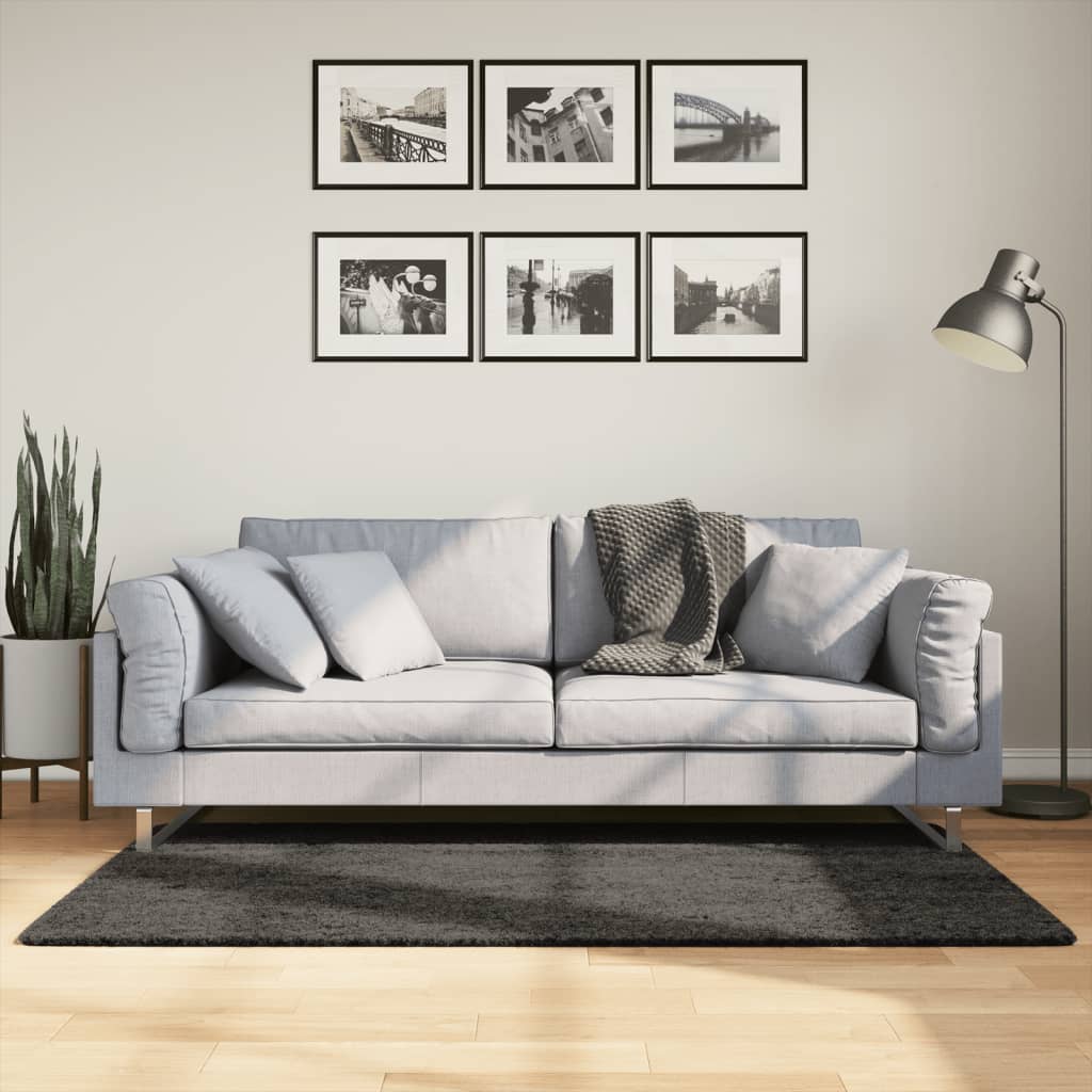 Vidaxl tapis Istan pour un tas haut tas brillant 80x150 cm anthracite -colored