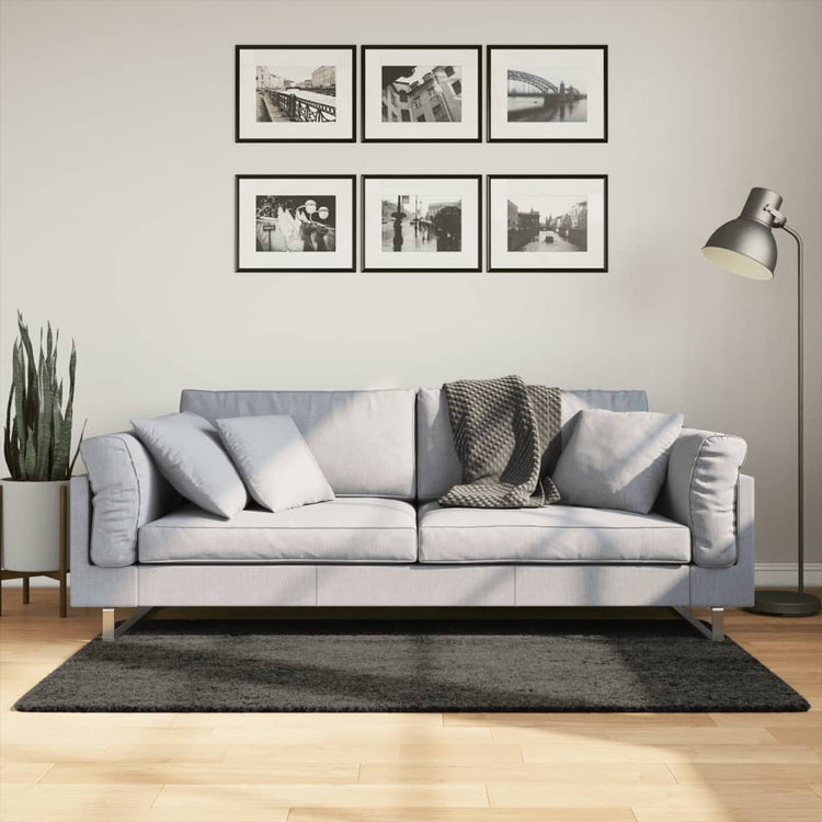 Vidaxl tapis Istan pour un tas haut tas brillant 80x150 cm anthracite -colored