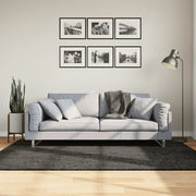 Vidaxl tapis istan pour un tas haut brillant 140x200 cm anthracite -colored - afbeelding 1