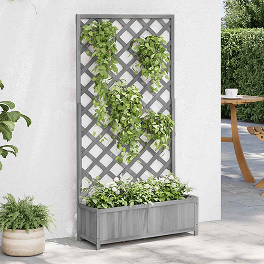Vidaxl Plannet avec latwerk solide Vurenhout Gray