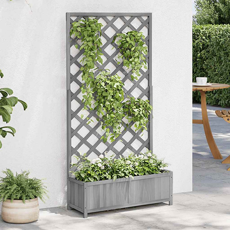 Vidaxl Plannet avec latwerk solide Vurenhout Gray