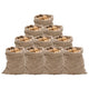 Vidaxl Jute Sacs 10 pièces 220 g m² 60x105 cm 100% jute