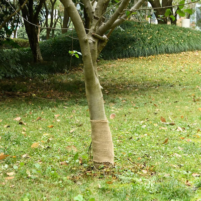 Vidaxl Jute Roll 200 g m² 0,25 x 5 m 100% jute