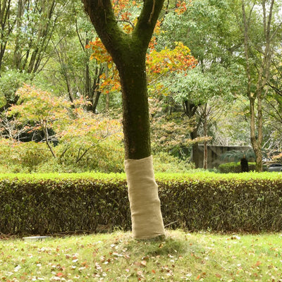 Rouleau de jute VidaXL 1x15 m 100% jute 200 g m²