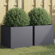 Vidaxl Plators 2 ST 42x40x39 cm Anthracite en acier -colore